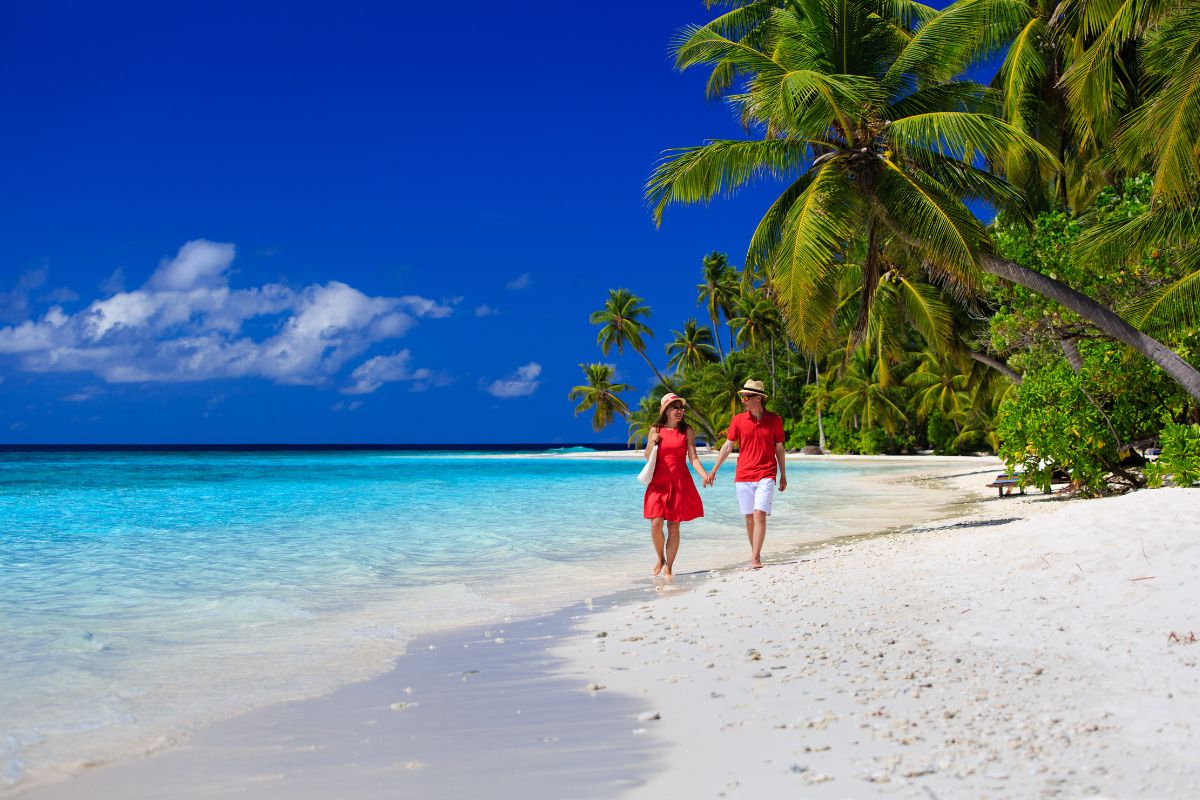 Qiz va yolbars bilan jinsiy aloqa