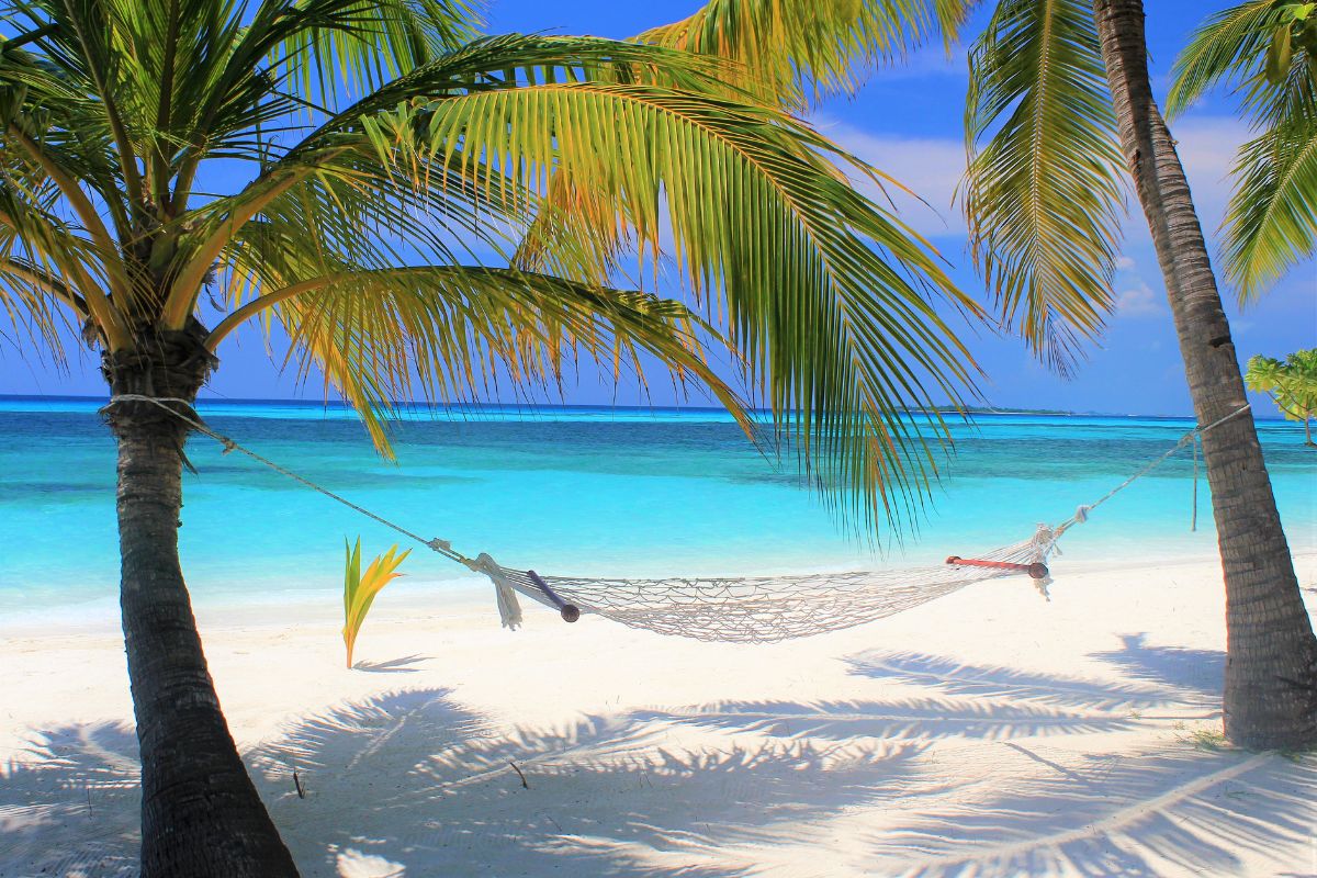 Rus pornosini tomosha qiling: Xotinimning dugonasini sikdi Dik sorishni sevuvchilar